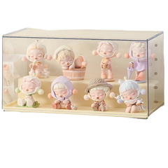 Acrylic Display Case