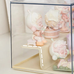 Acrylic Display Case