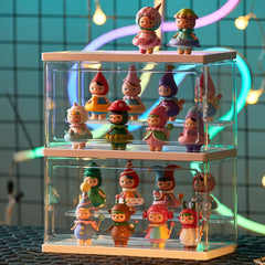 Semi-Transparent Display Case