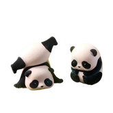 PANDA ROLL Daily Life Series